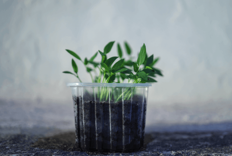 Qué es sostenibilidad ambiental y cómo la puedes promover